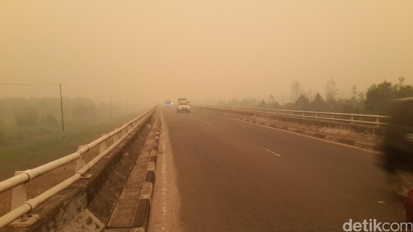 Foto: Gelapnya Asap Sambut Kunjungan Menkes di Palangkaraya