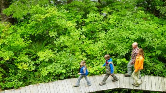 Family walking on pathway through forest.
