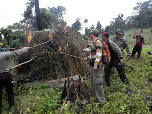 Hakim Diklat, Vonis Pengedar Ganja yang Dituntut Mati Ditunda