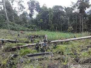 Puluhan Hektar Hutan di Aceh Besar Botak Akibat Ulah Petani Ganja