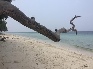 Ambon Sambut Konsep Go Maritime, Go East