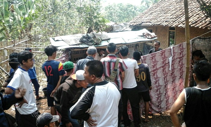 Tragis! Pepen Tewas setelah Disengat Ribuan Tawon