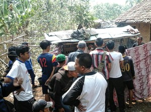 Tragis! Pepen Tewas setelah Disengat Ribuan Tawon