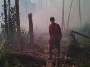 Kabut Asap Tak Kunjung Teratasi, Fraksi Demokrat Dorong Pembentukan Pansus