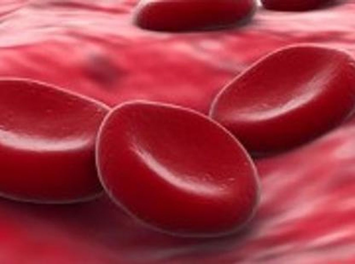 Sistem peredaran darah pada manusia terbagi dua yaitu