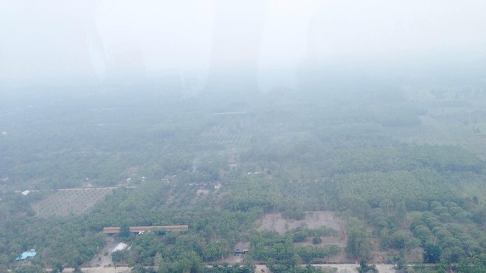 Begini Dahsyatnya Api Membakar Lahan Gambut yang Luas di OKI Sumsel