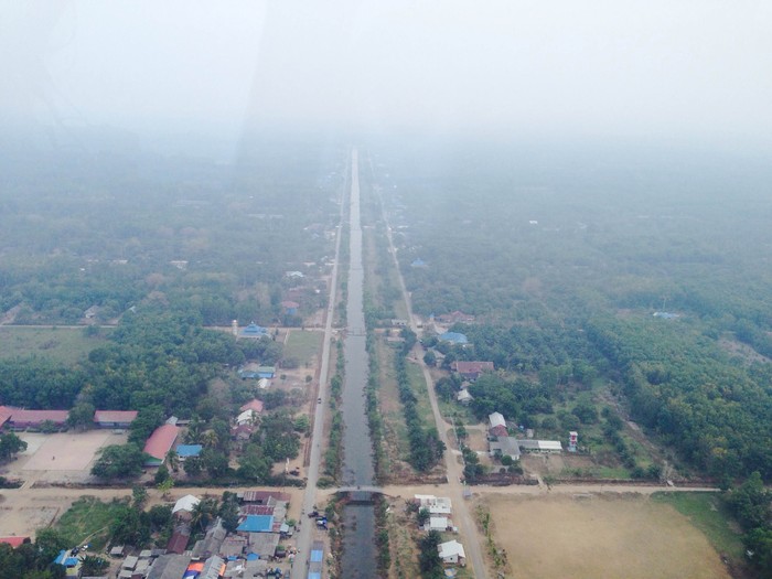 Pemerintah Harus Berani Buka Identitas Pembakar Hutan