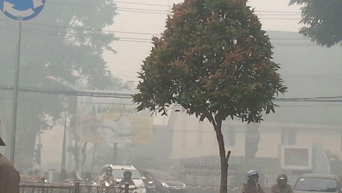 Begini Aktivitas Pagi di Jambi, Paru-paru Melawan Asap