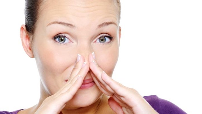 ilustrasi hidung ilustrasi hidung