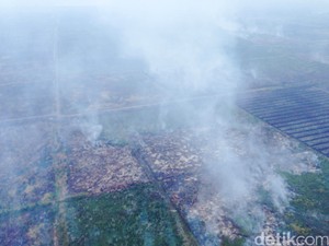 Atasi Kabut Asap, RI akan Terima Bantuan 2 Pesawat dan Tenaga Medis dari AS