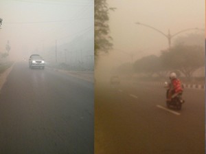 Asap yang Menakutkan: Pagi Putih Pekat, Siang Kekuningan, Petang Kemerahan