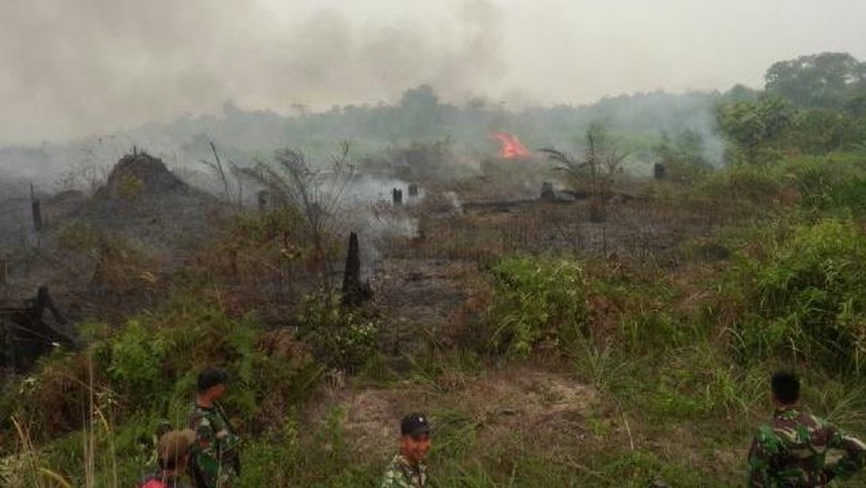 Polres Pelalawan Temukan Aktivitas Ilegal Logging di Taman Nasional Polres Pelalawan Temukan Aktivitas Ilegal Logging di Taman Nasional