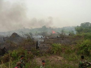Polres Pelalawan Temukan Aktivitas Ilegal Logging di Taman Nasional