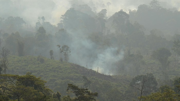 Kepulan asap akibat pembakaran lahan di kaki Gunung Nilo terlihat dari Desa Sungai Tebal, Lembah Masurai, Merangin, Jambi, Selasa (20/10). Dinas Kehutanan Provinsi Jambi menyebutkan luas kawasan hutan yang rusak di daerah itu telah mencapai 934 ribu hektare atau sekitar 44 persen dari total luasan hutan di provinsi itu yang disebabkan pembalakan liar, alih fungsi hutan, kebakaran dan perambahan hutan, sementara upaya rehabilitasi berjalan lambat karena terkendala minimnya anggaran. ANTARA FOTO/Wahdi Septiawan/foc/15.