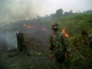 Kasus Kebakaran Lahan Segera Disidangkan, PT LIH: Kita Hormati Proses Hukum