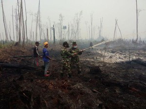 Atasi Kebakaran Lahan Gambut, Pemerintah Perbanyak Buat Kanal Blocking
