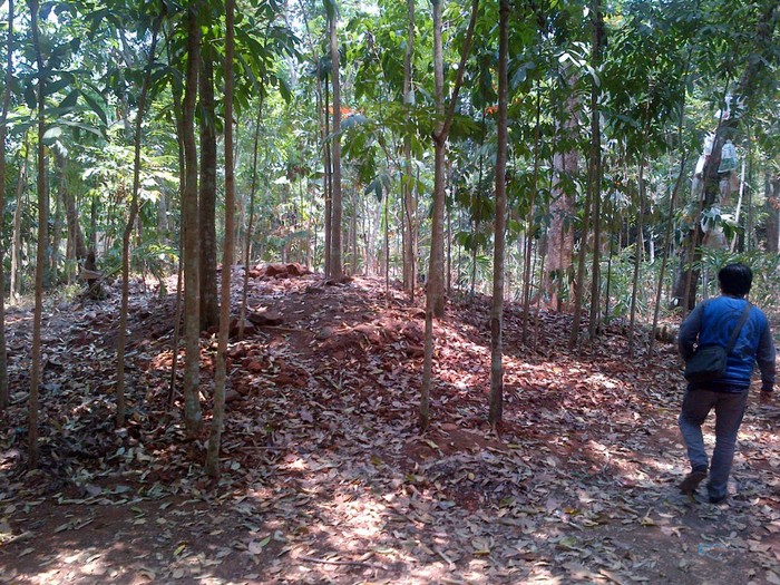 Teka-teki Candi Kuno di Gundukan Tanah Warga Semarang
