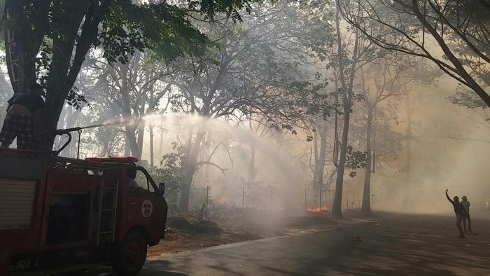 Walhi: Pemerintah Tak Boleh Hanya Menunggu Hujan Turun