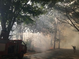 Hutan Percobaan di Kampus Unhas Terbakar