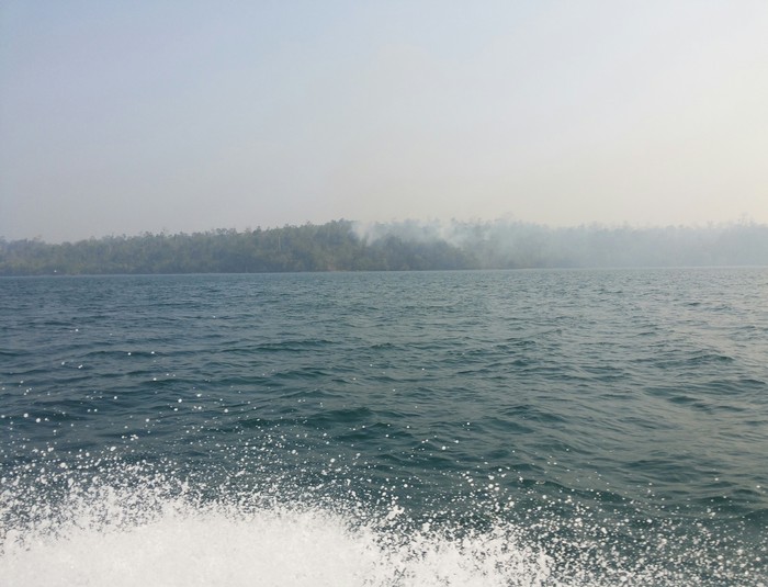 Hutan di Misool Timur Raja Ampat Terbakar, Begini Penampakannya
