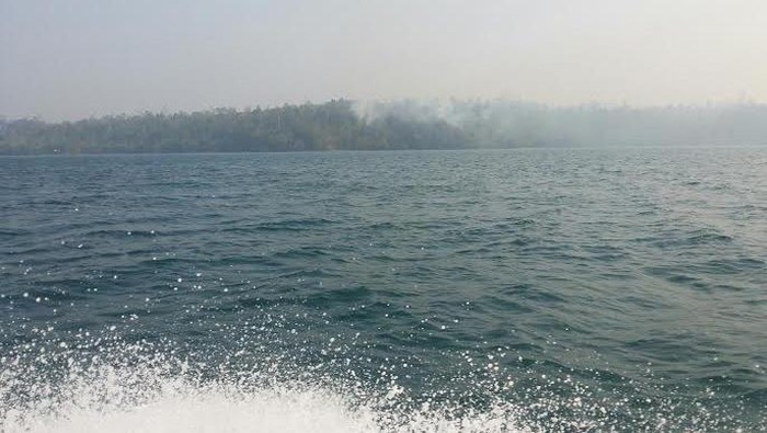 Kebakaran Juga Melanda Hutan di Misool Timur Raja Ampat