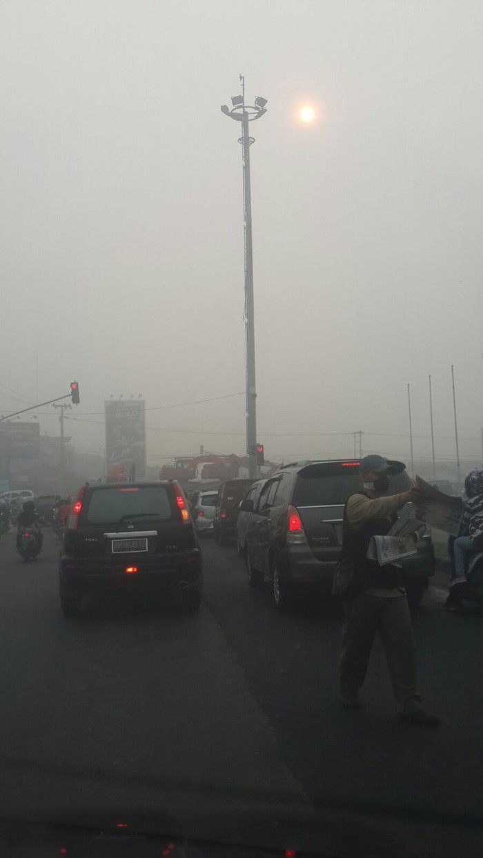 2 WNA Petinggi Perusahaan Jadi Tersangka Pembakaran Lahan di Riau