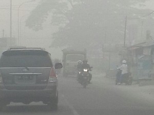 Komandan Satgas Karhutla Riau: Kebakaran Masif, Pasti Ada Koordinatornya!