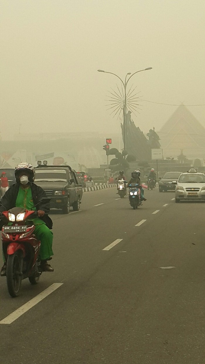 Riau Sempat Ajukan Perda Buka Lahan dengan Bakar Hutan tapi Ditolak Pusat