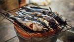 Sederet Fakta tentang Lele si Ikan Berkumis