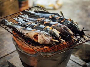 7 Manfaat dan Efek Samping dari Makan Ikan Lele
