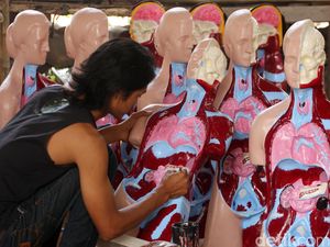 Sistem Ekskresi Pada Manusia, Ini Organ-Organ yang Harus Diketahui