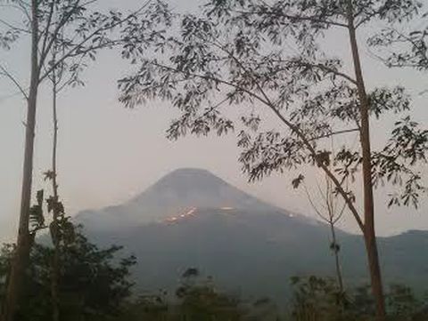 Gunung Penanggungan Mojokerto terbakar
