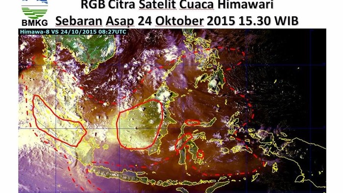 Pemerintah Diminta Mencabut Peraturan yang Mengizinkan Pembakaran Hutan