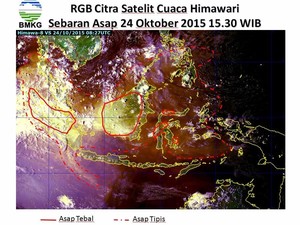 Pemerintah Diminta Mencabut Peraturan yang Mengizinkan Pembakaran Hutan