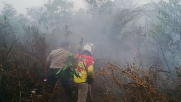 Mengintip Aksi Polisi Saat Razia Api di Lahan Gambut Bayung Lencir