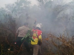 BNPB: Hampir Seluruh Langit Indonesia Tertutup Asap, Kecuali 7 Daerah