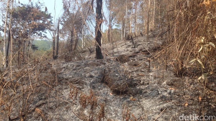 Perjalanan Berhiaskan Asap
