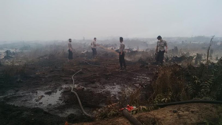 Ini 3 Perusahaan Pembakar Hutan yang Izinnya Dicabut Kementerian LHK Ini 3 Perusahaan Pembakar Hutan yang Izinnya Dicabut Kementerian LHK