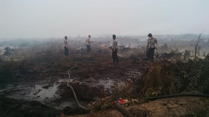 Titik Api Banyak di Jawa Timur, Warga Jakarta Tak Perlu Khawatir Kabut Asap