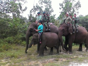 Tim Kostrad Patroli Kebakaran di Riau dengan Naik Gajah