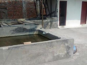 Balita Tiga Tahun Tewas Tercebur Kolam Lele