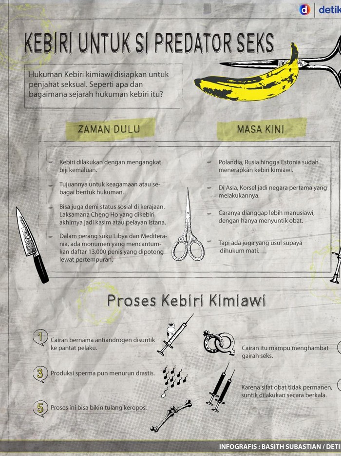 Pegiat HAM Nilai Kebiri yang Diterapkan di Eropa Tidak Efektif