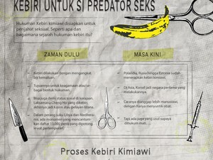 Pegiat HAM Nilai Kebiri yang Diterapkan di Eropa Tidak Efektif