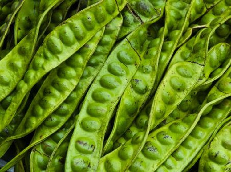 Doyan Petai? Ini Dia 10 Manfaat Mengonsumsi Petai