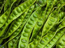 Dokter Ungkap Batas Konsumsi Petai Biar Asam Urat Nggak Nanjak