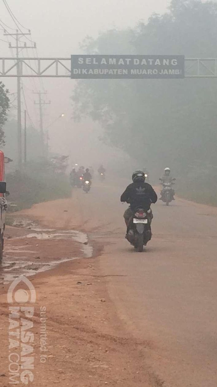 Asap Makin Pekat, Beberapa Sekolah di Sumut dan Riau Masih Libur