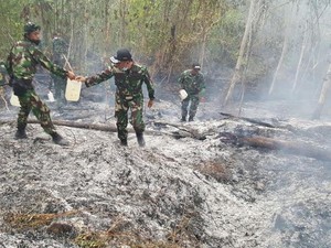 Cegah Kebakaran Lahan di Riau, Kodam I BB Bentuk Tenaga Pembina Desa