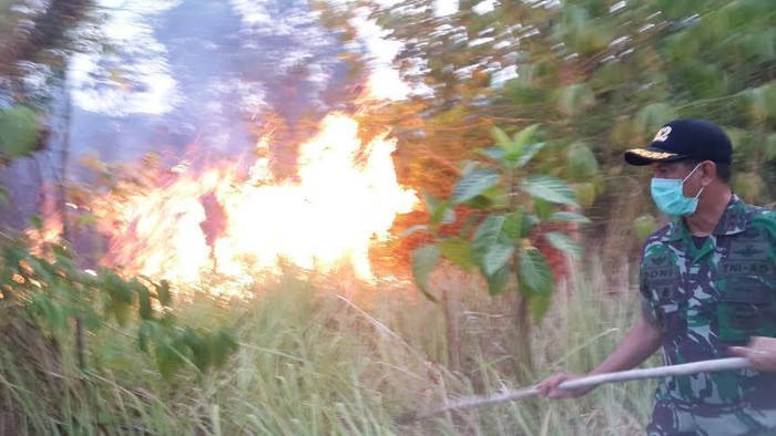 Kasus Pembakaran Hutan, Kejagung Terima 50 Berkas Perkara dari Mabes Polri