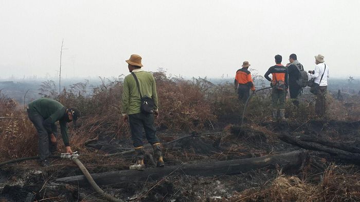 Foto: Chaidir Anrwar Tanjung/detikcom Foto: Chaidir Anrwar Tanjung/detikcom