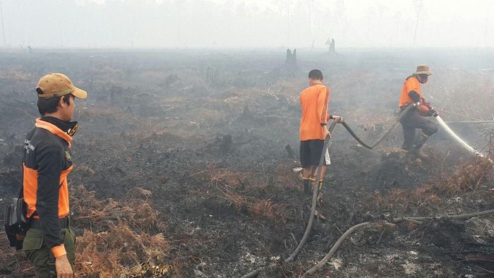 Foto: Chaidir Anrwar Tanjung/detikcom Foto: Chaidir Anrwar Tanjung/detikcom
